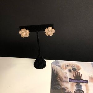 Earrings Women Jewelry